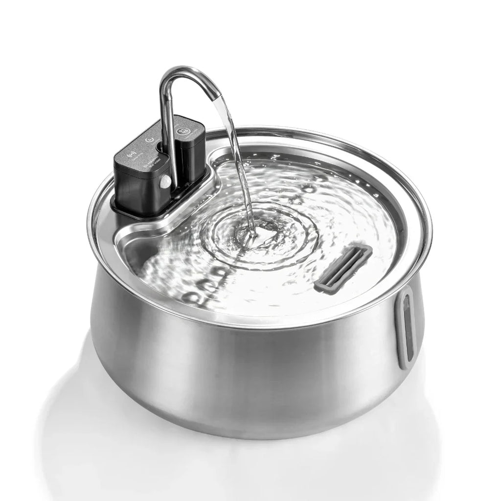 Cattasaurus Water Fountain (Pre-order + Membership)