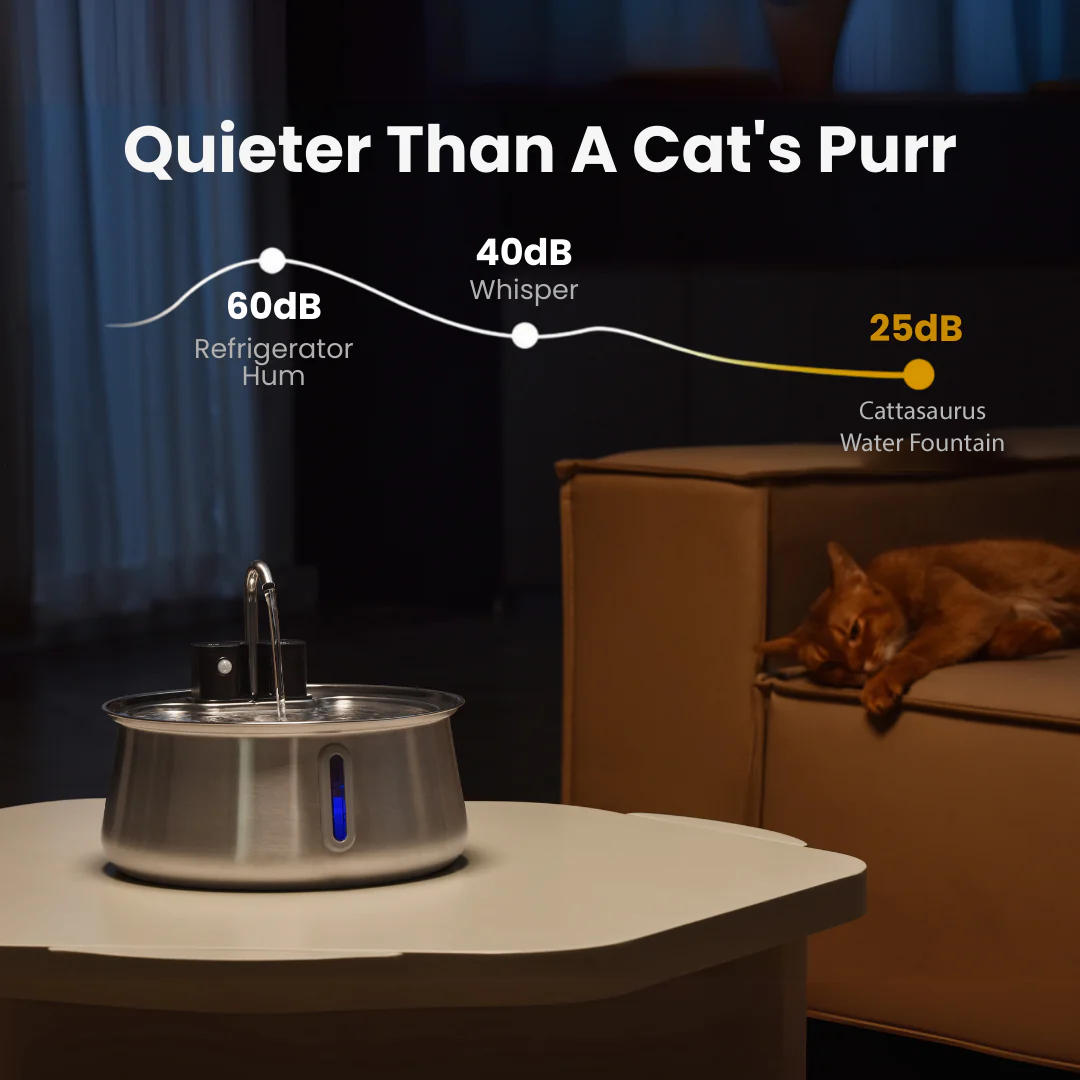 Cattasaurus Water Fountain (Pre-order + Membership)