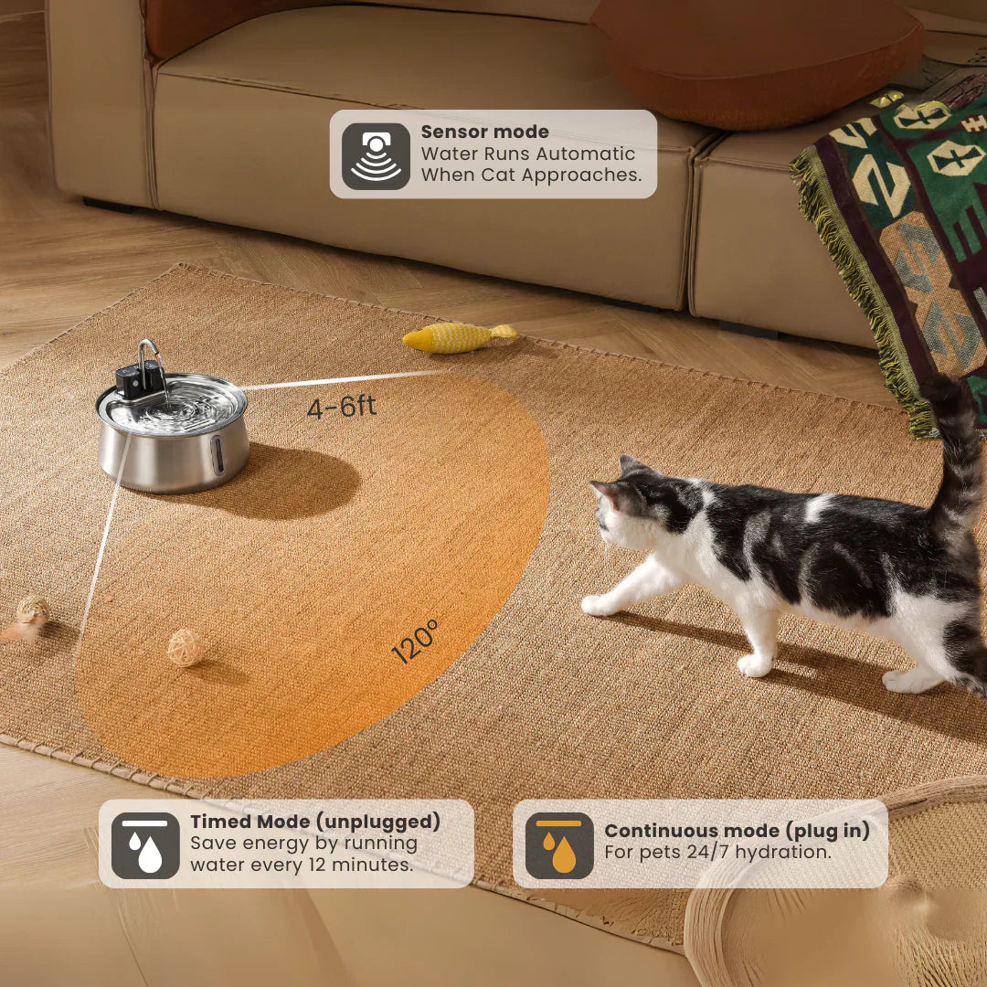 Cattasaurus Water Fountain (Pre-order + Membership)