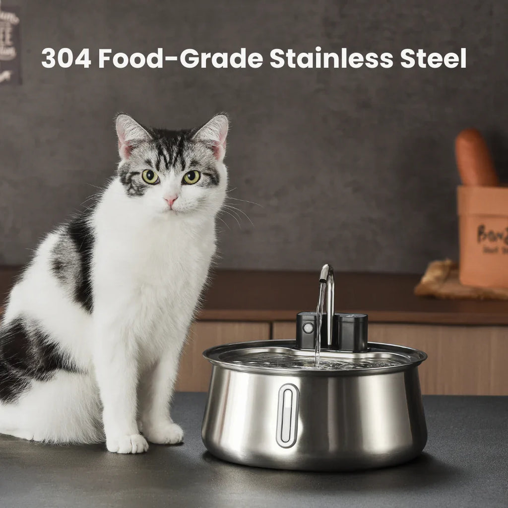 Cattasaurus Water Fountain (Pre-order + Membership)