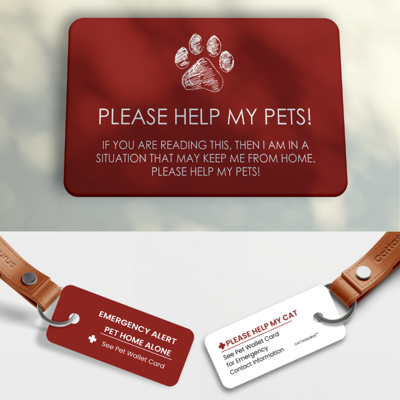 Emergency Pet Card & Key Tag (Pack of 10)