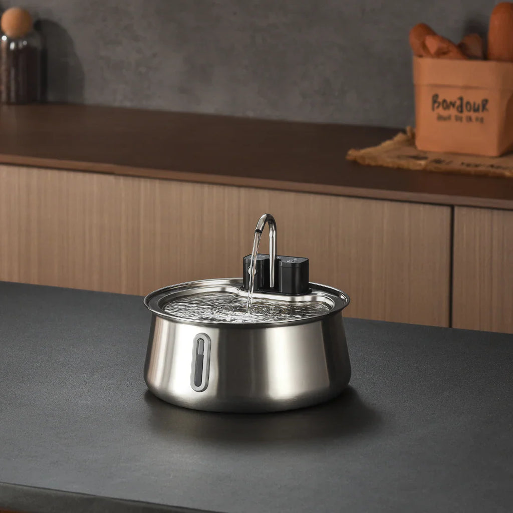 Cattasaurus Water Fountain (Pre-order + Membership)