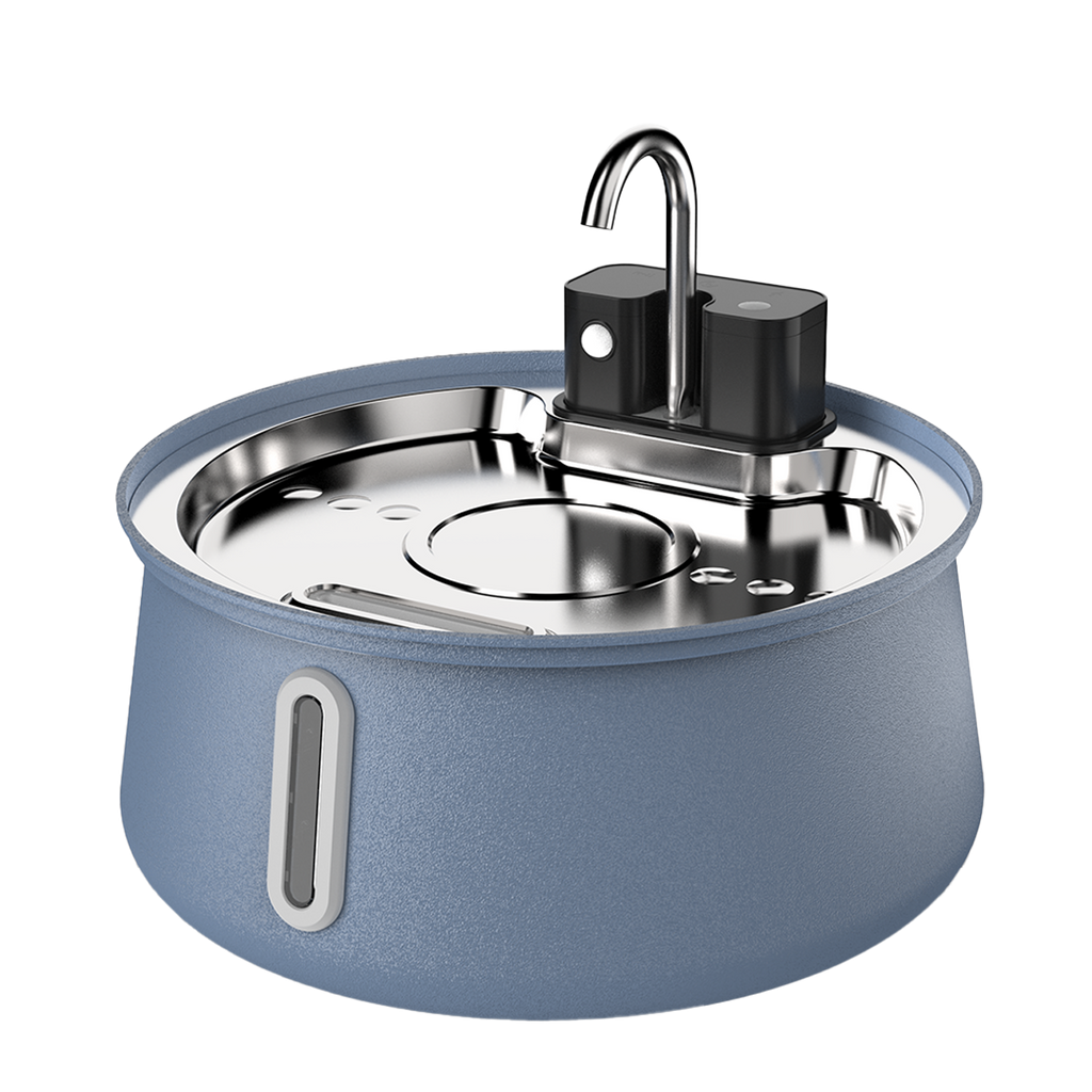 Cattasaurus Water Fountain (Pre-order + Membership)