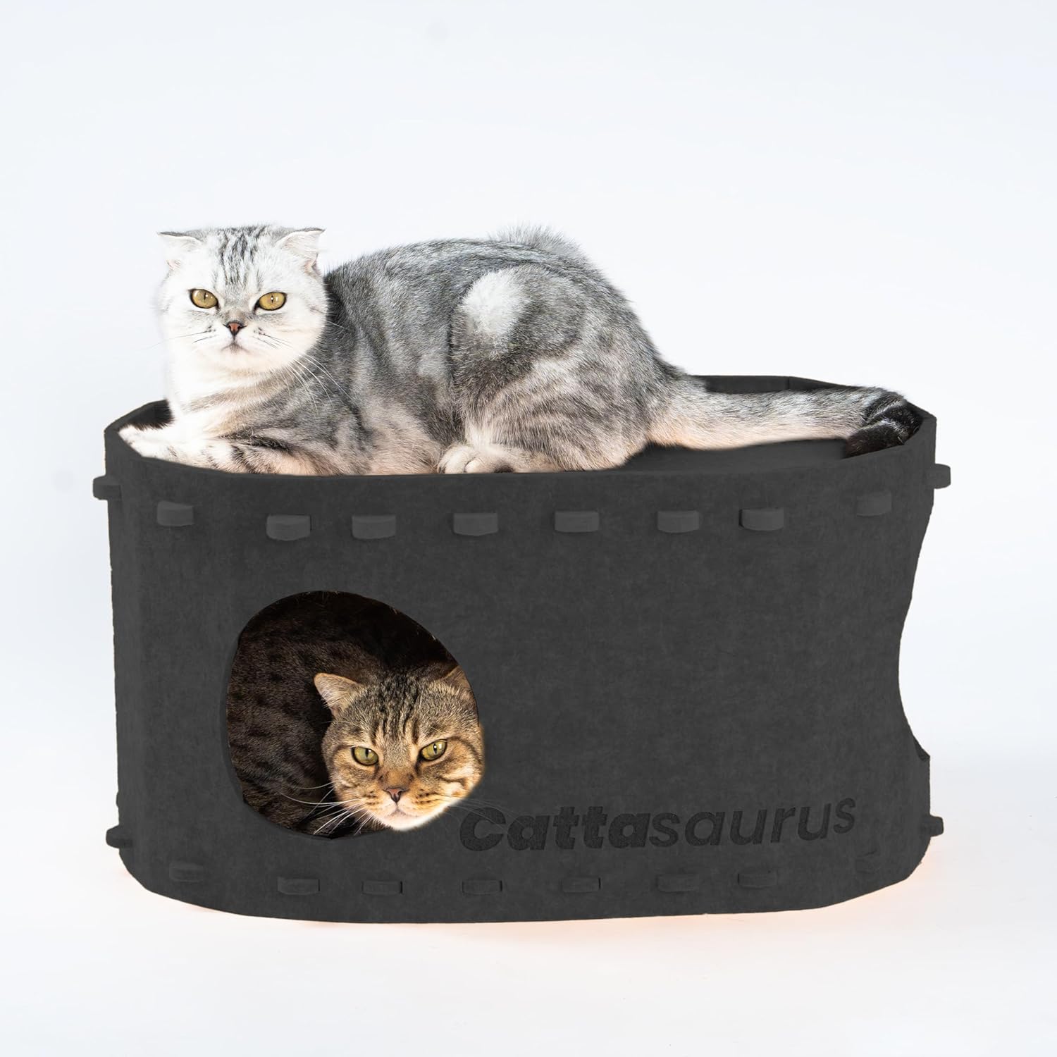 Nails on Felt™️ Bunk Bed