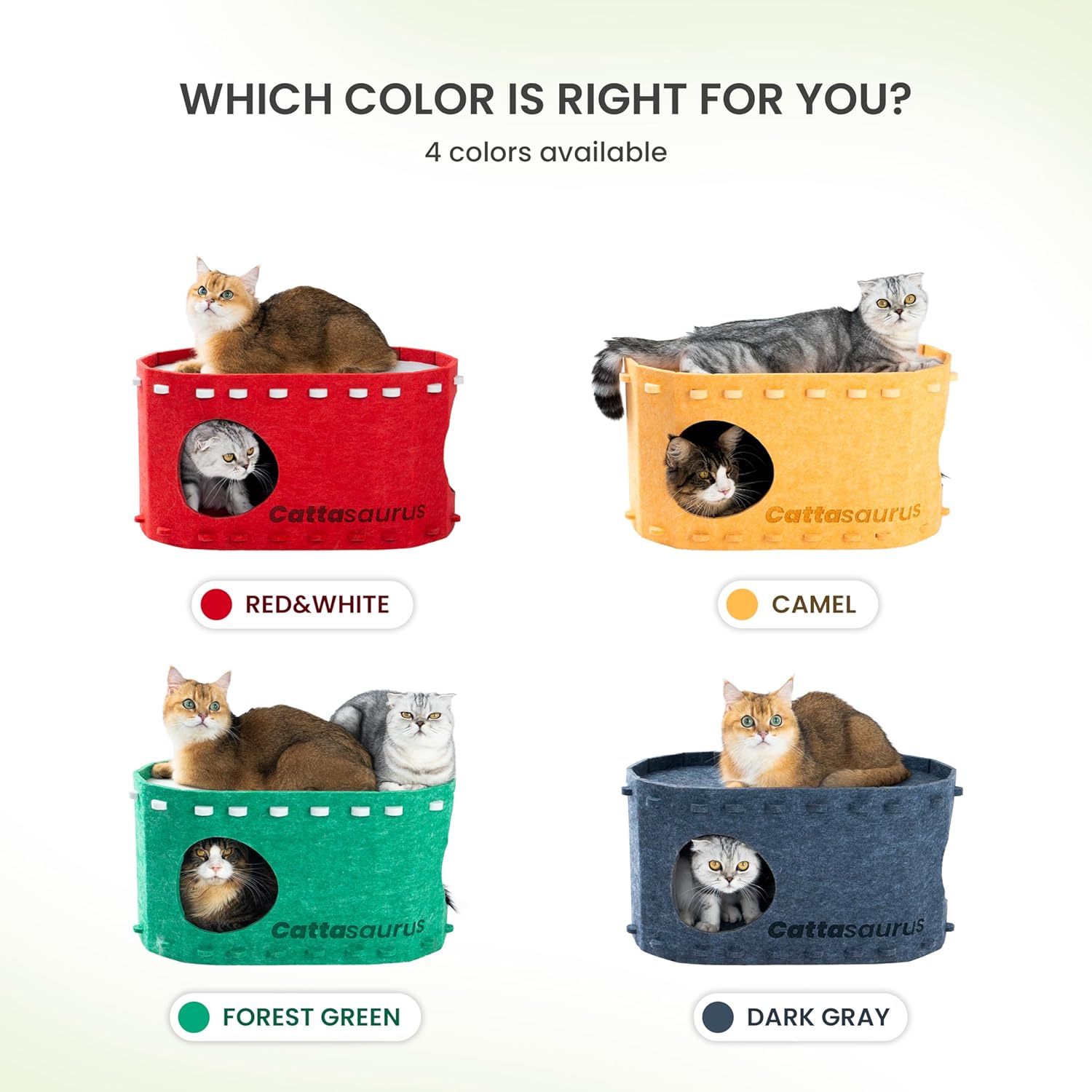 Nails on Felt™️ Bunk Bed