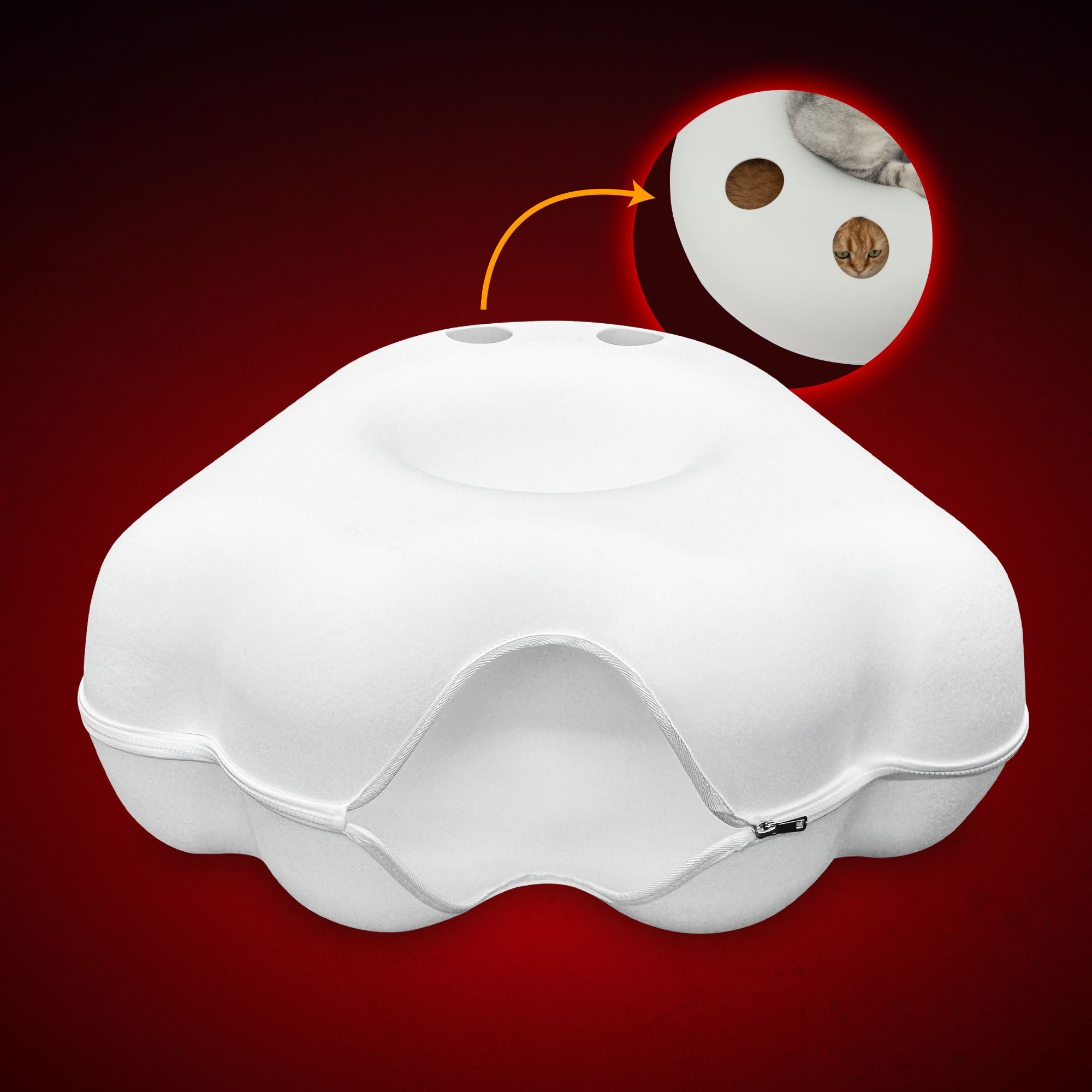 The Cattasaurus Peeka-BOO