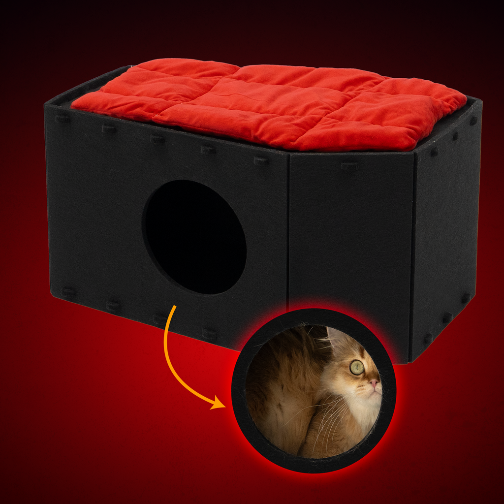 Gothic Coffin Bunk Bed