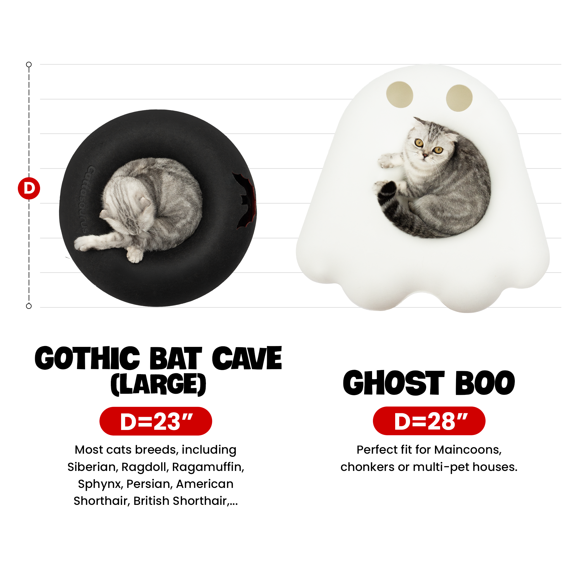 The Cattasaurus Peeka-BOO