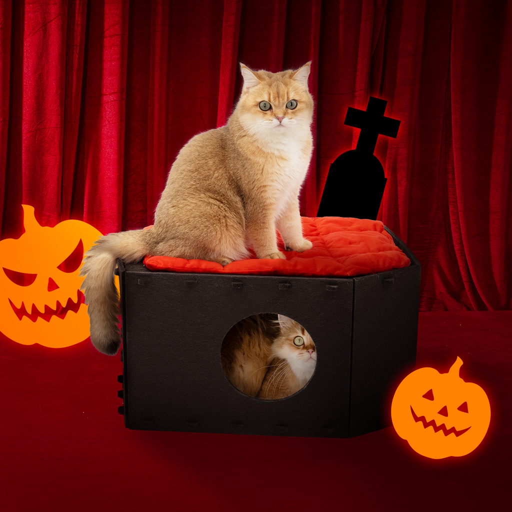 Gothic Coffin Bunk Bed