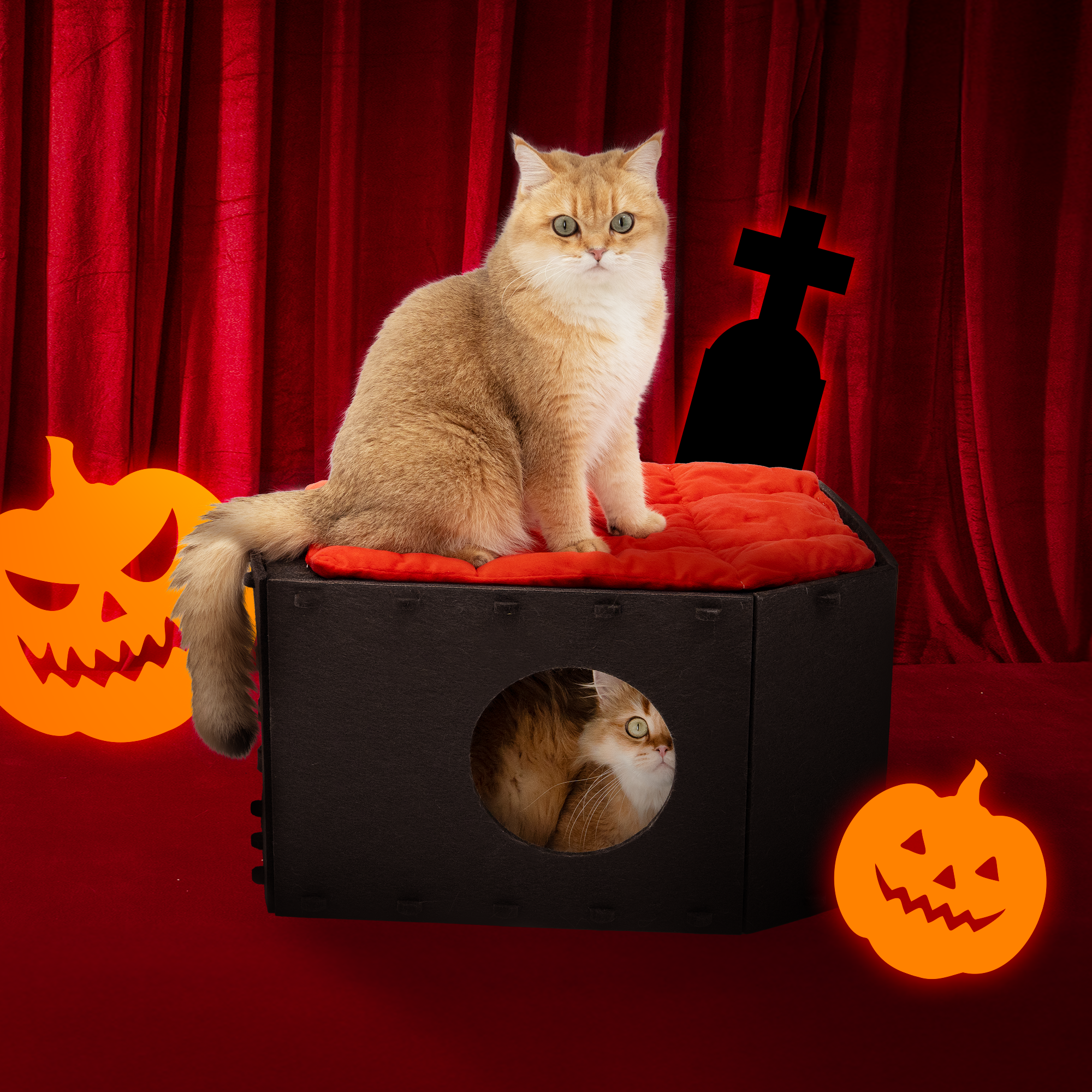 Gothic Coffin Bunk Bed