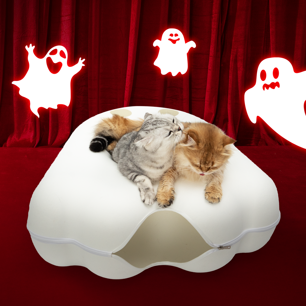 The Cattasaurus Peeka-BOO