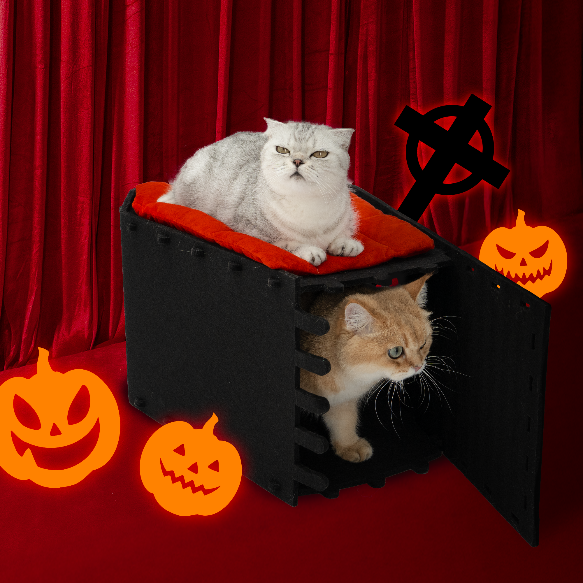 Gothic Coffin Bunk Bed