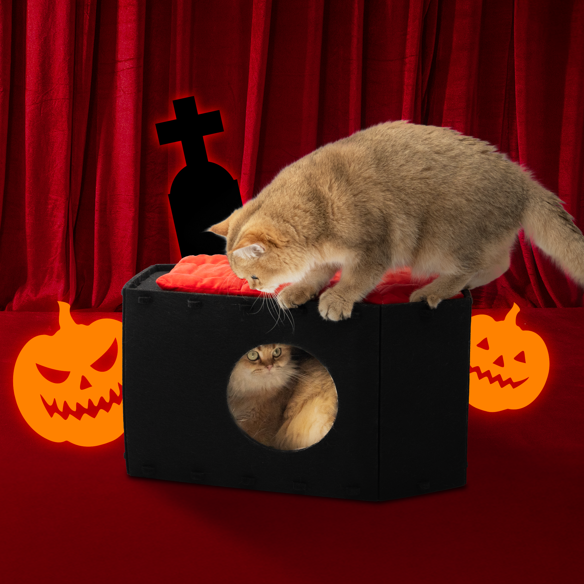 Gothic Coffin Bunk Bed