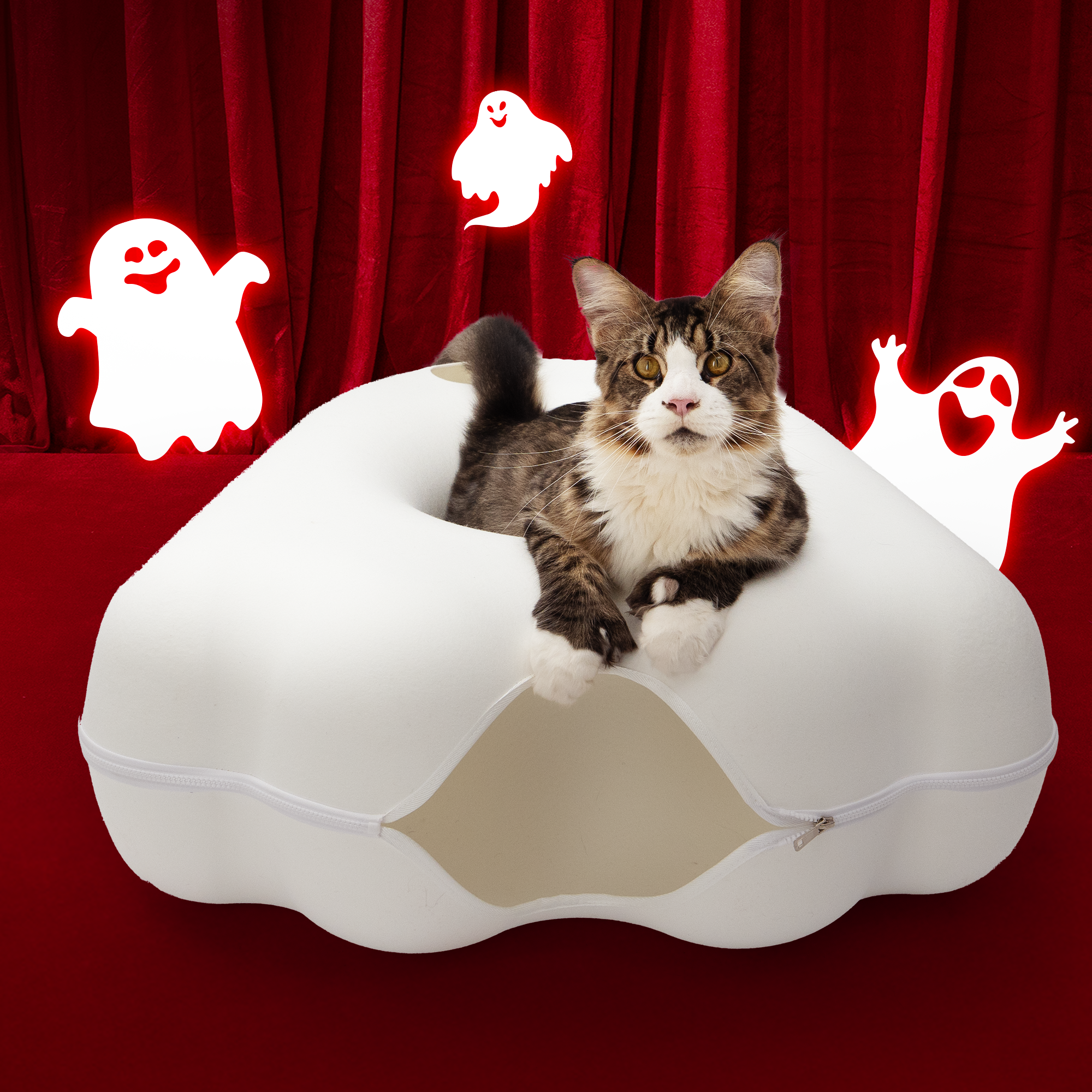 The Cattasaurus Peeka-BOO