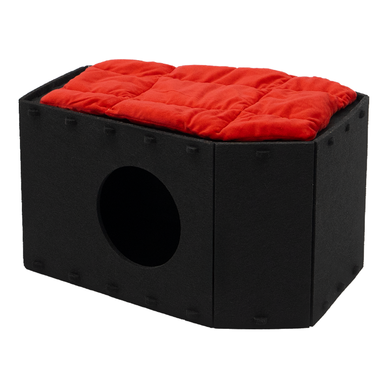 Gothic Coffin Bunk Bed