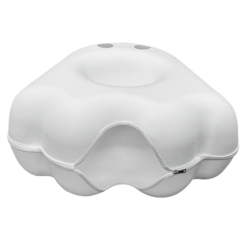 The Cattasaurus Peeka-BOO