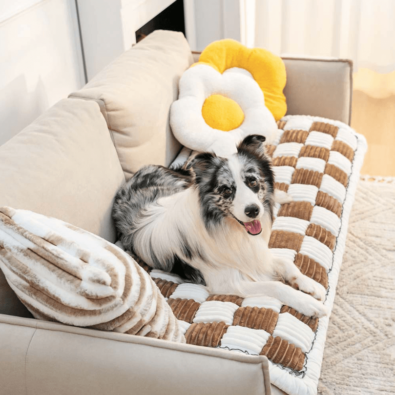 Paw-tector™️ Plush Couch Cover