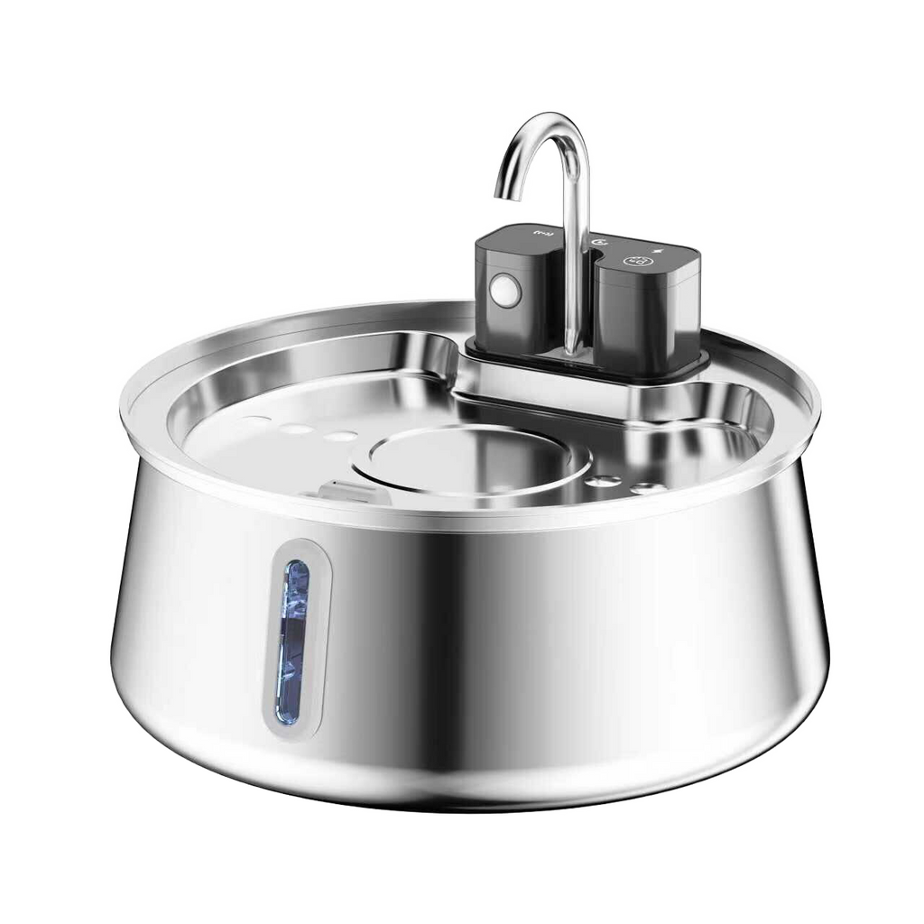 Cattasaurus Water Fountain (Pre-order + Membership)